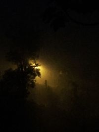 silhouette