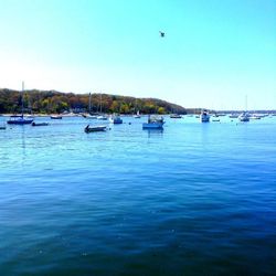 Boats in sea against clear sky