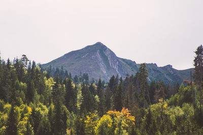 Scenic view of mountains against clear sky