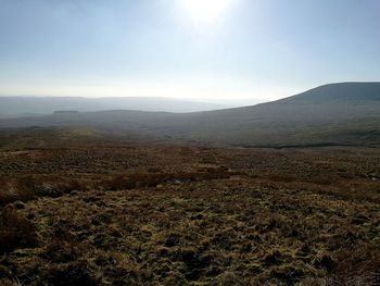 Scenic view of landscape against clear sky