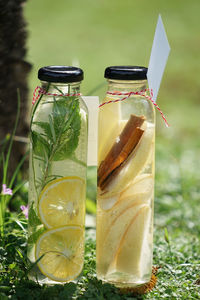 Close-up of pickled fruits and spices in bottles on field