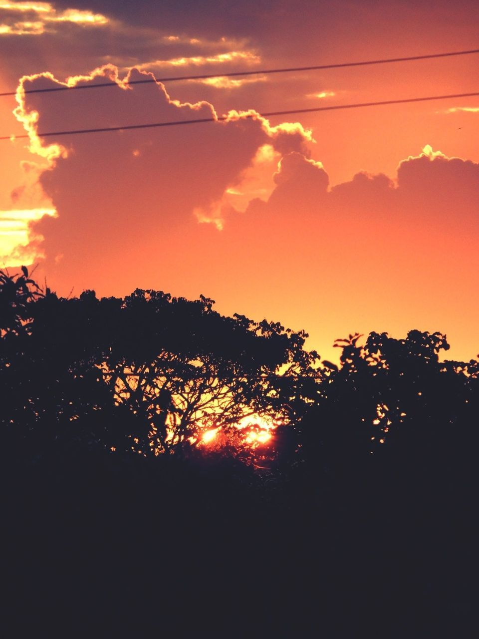 sunset, silhouette, sky, orange color, tree, beauty in nature, scenics, sun, tranquility, tranquil scene, nature, cloud - sky, idyllic, sunlight, low angle view, growth, cloud, dramatic sky, outdoors, landscape