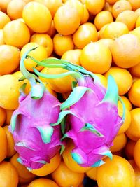 Full frame shot of fruits for sale at market stall