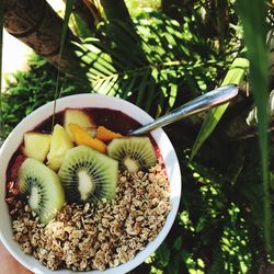 Close-up of fruits in bowl