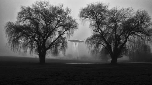 Bare trees on field against sky during foggy weather