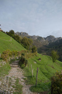 A green hill crossed by a path with a mountain range in the background