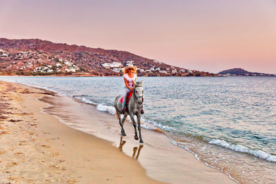 Dog on beach