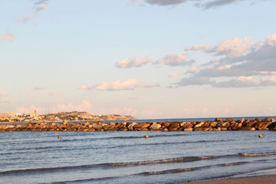 Birds on beach against sky