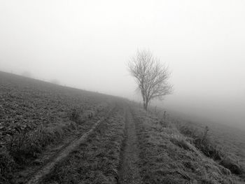 Scenic view of field against sky during winter