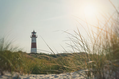 Surface level view of grass with lighthouse in background at beach against sky