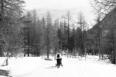Rear view of man with push cart walking on snowcapped field