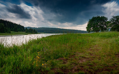 Scenic view of field against sky