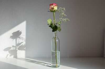 Close-up of flower vase on table against wall