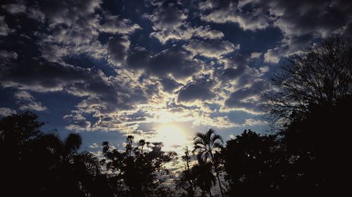 Low angle view of trees against cloudy sky