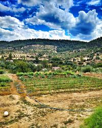 Scenic view of field against sky