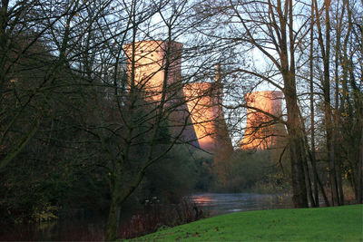 Bare trees by river in forest during autumn