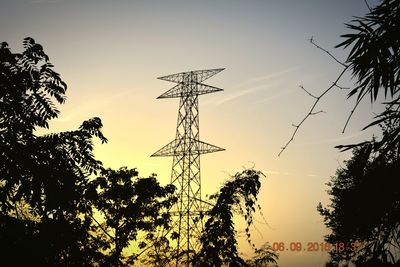 Silhouette of trees at sunset