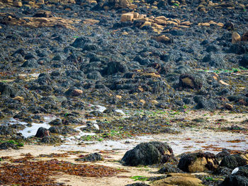 High angle view of river flowing through rocks