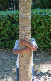 Close-up of a bird on tree trunk