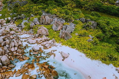 High angle view of rocks amidst trees