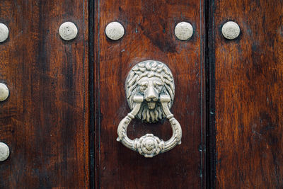 Close-up of cat on wooden door