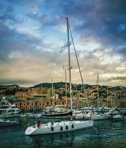 Sailboats in sea