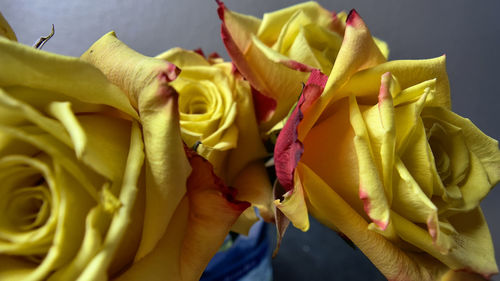 Close-up of yellow rose bouquet