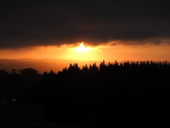 Silhouette trees against sky during sunset