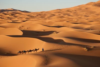 Scenic view of desert