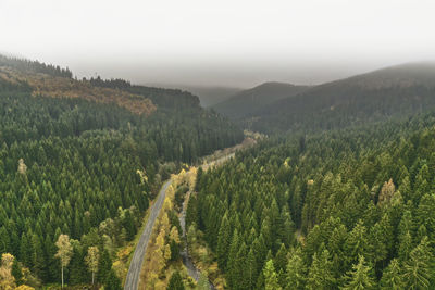 High angle view of plants growing on land against sky