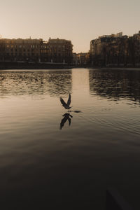 water