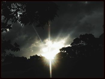 Sun shining through trees