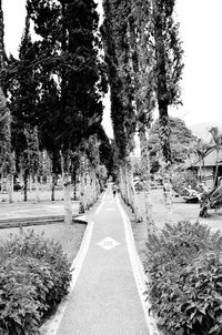 Road amidst trees against sky