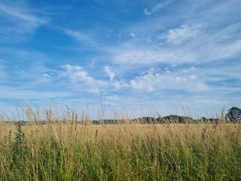 sky