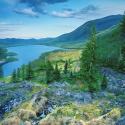 Scenic view of landscape against sky