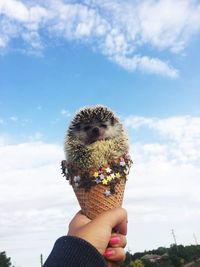 Cropped hand of woman holding porcupine in ice cream cone against sky