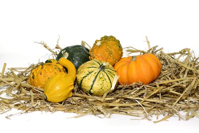 Close-up of pumpkins against yellow background