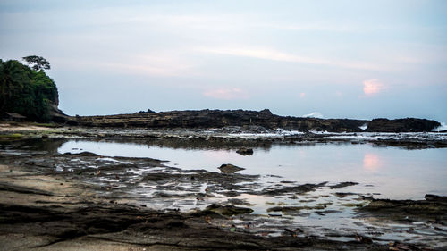 Scenic view of trees against sky