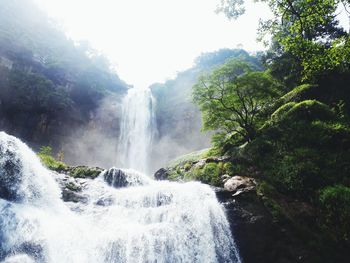 Scenic view of waterfall in forest