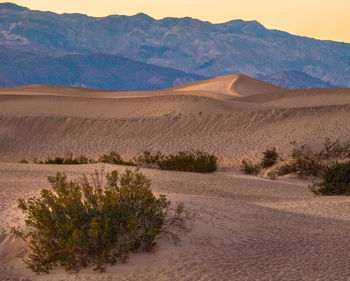 Scenic view of landscape