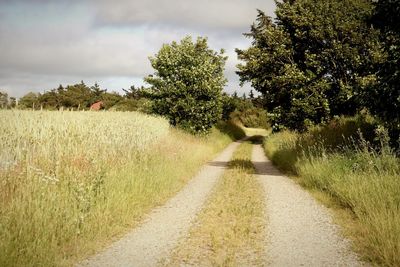 Empty road amidst plants and trees against sky