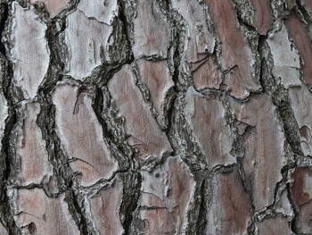 Full frame shot of textured wall