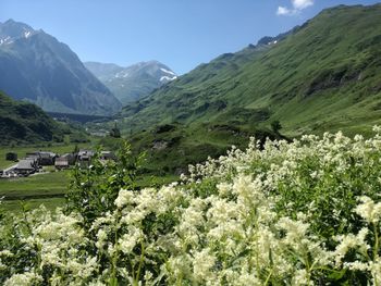 Scenic view of green landscape and mountains against sky