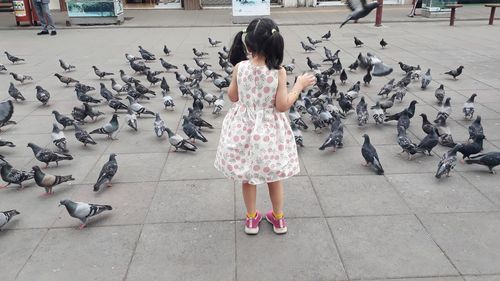 A girl between birds at street