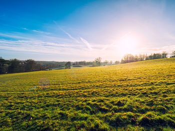 Scenic view of field against sky