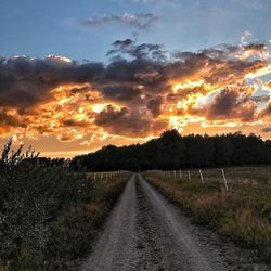 Road amidst trees against sky during sunset