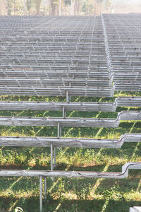 Plants growing in greenhouse