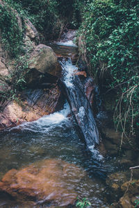 Stream flowing through rocks in forest