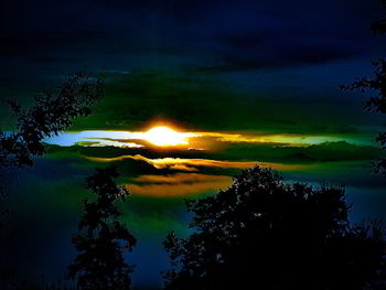 Scenic view of silhouette tree against sky during sunset