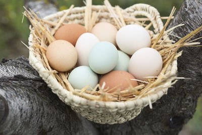 Chicken eggs of various colors. take with natural light.